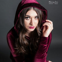 Load image into Gallery viewer, Velvet Hoodie